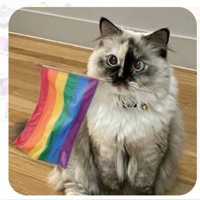 kiribaku_lover4's profile picture. Kiribaku shipper