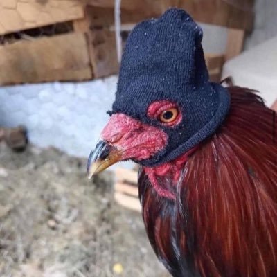 Personal account. Views are mine and mine only