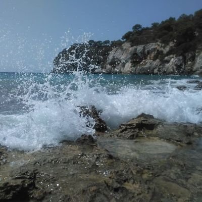 Penso globalment, actuo localment, amb seny i coratge, entre d'altres en Formació Sanitària Especialitzada.