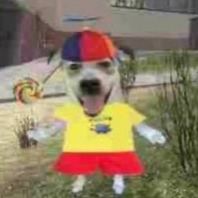 CrdJuan's profile picture. Nada