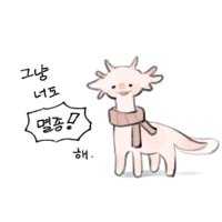 오타쿠 (@onerae_sinha) 's Twitter Profile