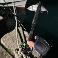 深崎🐟 (@wanko_002) 's Twitter Profile