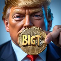 bigt47USA (@bigt47usa) 's Twitter Profile