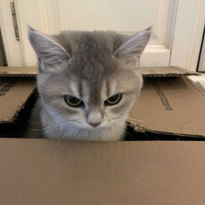 mothra99x's profile picture. trying to be better