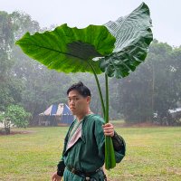 Andrew Yu Chun Wu (@icaruswu0508) 's Twitter Profile