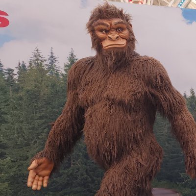 1stsavedthe2nd's profile picture. 