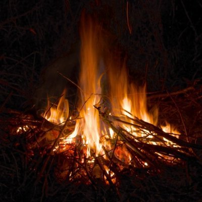 GrandPassur's profile picture. - Regroupement des Faisceaux du Crédible - en Français - Dogmaphobique - Je ne garde que les abonnés réactifs ...