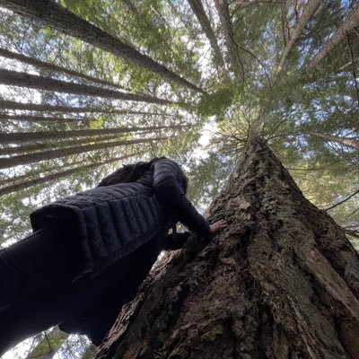 SoniaDharni's profile picture. Probably lost in the woods or in a good book. 🐿️🌲📖