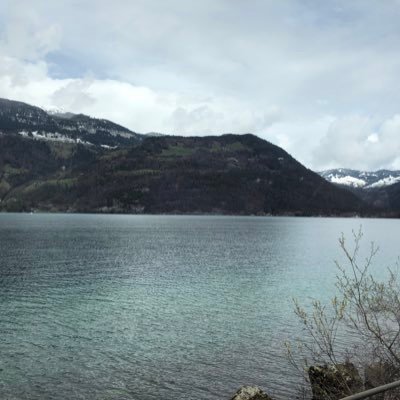 HarfiyanShia's profile picture. Husband | Dad | #dotnet Enthusiast | Coder | Posts Not Financial Advice | Opinions are my own