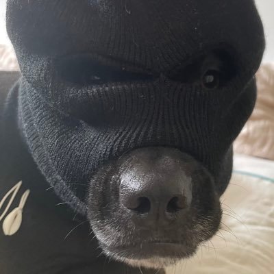 lamb2k1's profile picture. Creative, calm and collected.