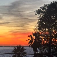 Suzy Haley (@hale438530) 's Twitter Profile
