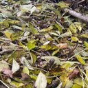 Jay Champion - @jaychampion28 - Twitter