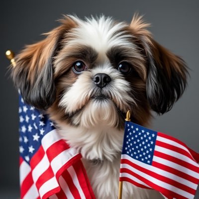 America 1st Patriot. Americans come in ALL colors. My point of view is as valid as anyone else’s- Don’t try to Silence mine.