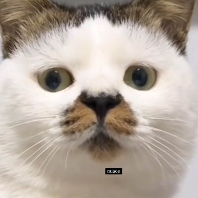 𝚛𝚛𝚊𝚑 𝚌𝚊𝚝さんのプロフィール画像