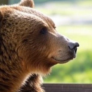 kdr_econ's profile picture. https://t.co/Pk9HsO7ywT