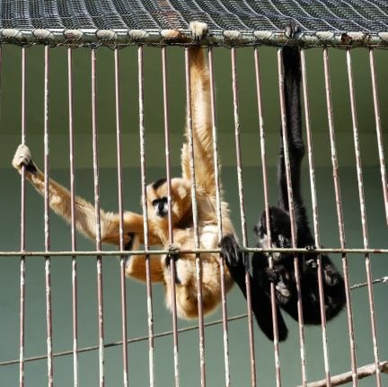 cnhtq1982's profile picture. 