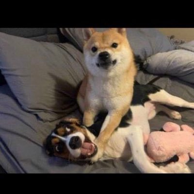 _salt_101's profile picture. #givenofucks