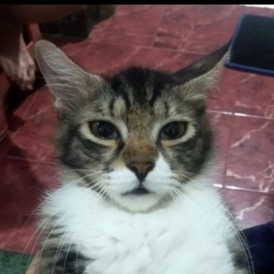 _zalle12's profile picture. . . . . . . . . . . . . . . . . . . . . . . . . . . .