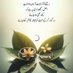 Abdul Salam (@salam59547) Twitter profile photo