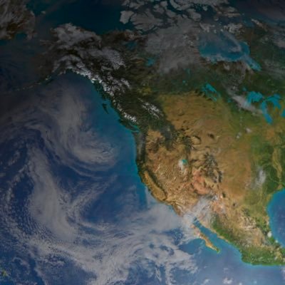 layla6906's profile picture. 