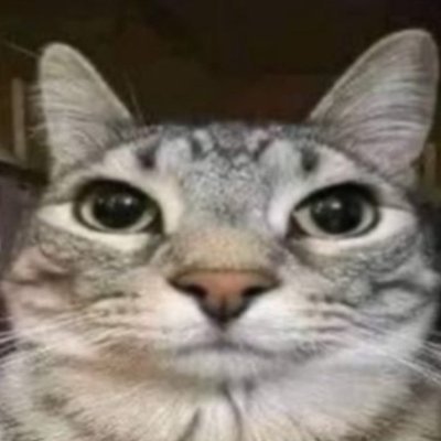 nivnivniv123's profile picture. learning AI. CS @ UT Austin