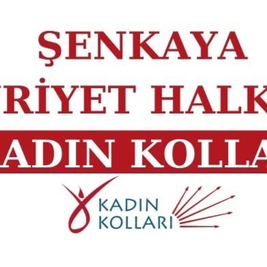 EsinYalc66432's profile picture. CHP Şenkaya Kadın Kolları Başkanı