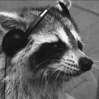 Pat (@pattatrades) 's Twitter Profile