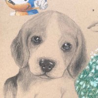 Anne Chovy (@annechovy2) 's Twitter Profile Photo Anne Chovy (@annechovy2) 's Twitter Profile Photo