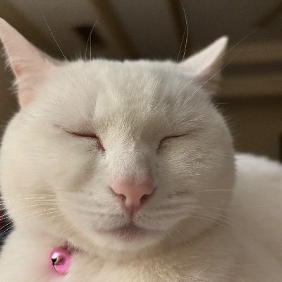 BeachBreeze5's profile picture. If you have something funny to say, come sit next to me.