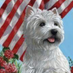 Douglas Trpcevski (@tdraggan) Twitter profile photo Douglas Trpcevski (@tdraggan) Twitter profile photo
