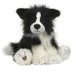 MiloCollie (@milo_the_collie) Twitter profile photo MiloCollie (@milo_the_collie) Twitter profile photo