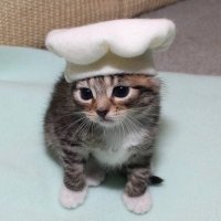 johnjohn (@taxevaderjohn) 's Twitter Profile Photo johnjohn (@taxevaderjohn) 's Twitter Profile Photo