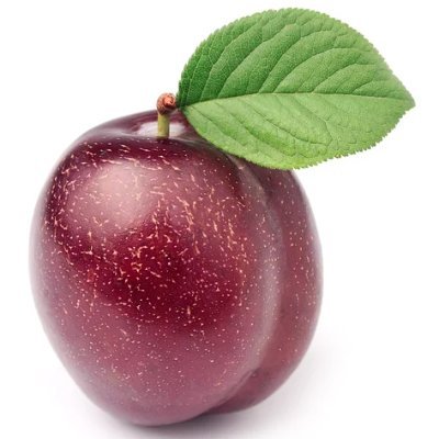 pplumbbum's profile picture. 