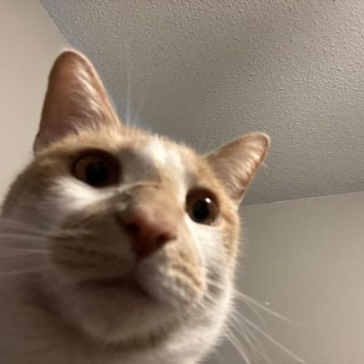 What’s up Twitter, it’s ya boy, the disappointment.