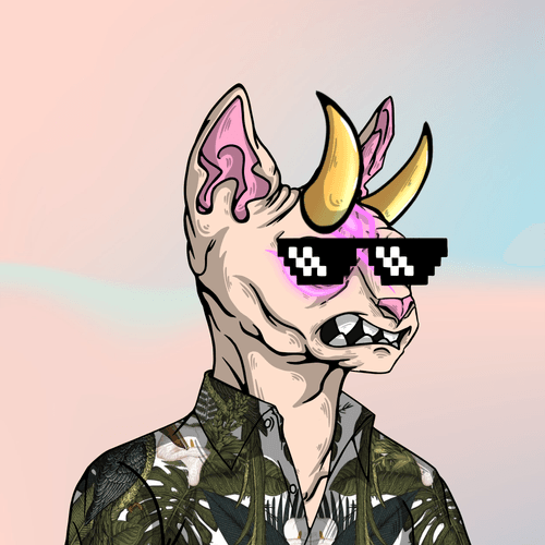 roresib's profile picture. Chess & Charting enthusiast.