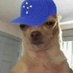 Joao (@jofrn_) Twitter profile photo Joao (@jofrn_) Twitter profile photo