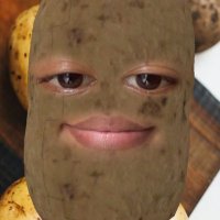 R&R (@softek12) 's Twitter Profile