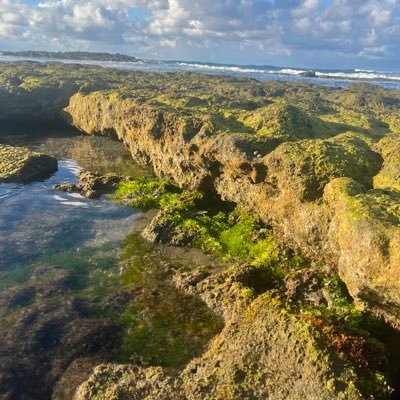 jcomifla's profile picture. 