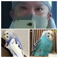 Macapy_Mafune (@masarukraine1) Twitter profile photo