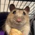 Aurora Rattery (@aurorarattery) Twitter profile photo Aurora Rattery (@aurorarattery) Twitter profile photo