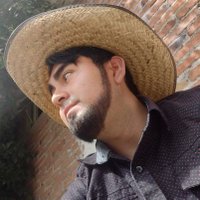 Alam DLH (@alamdlh) 's Twitter Profile