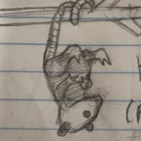 Just A Person (@just_4_p3rs0nz) 's Twitter Profile