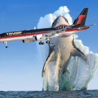 ReggaeShark🦈☮🎸🎶🌻⚾🟧🐾 (@reggaeshark12) 's Twitter Profile Photo ReggaeShark🦈☮🎸🎶🌻⚾🟧🐾 (@reggaeshark12) 's Twitter Profile Photo