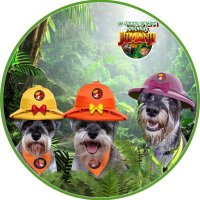 ๐Kiko &๐Woofie &๐Katkins (@mrsrebmik) 's Twitter Profile