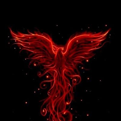 gogo332527's profile picture. gogo