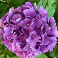 Deb Northall (@deb_northall) 's Twitter Profile