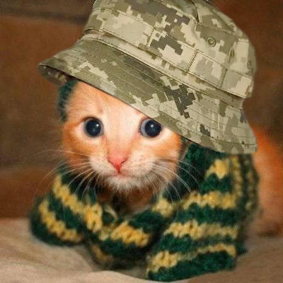 🪖 Soldier, former DevOps, @BrezBlock indie dev studio founder, @Arma3Ukraine enthusiast, мобілізований тиловий кіт(щур)