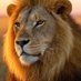 Faizi (@mrfaizi_) Twitter profile photo Faizi (@mrfaizi_) Twitter profile photo