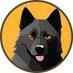 The Schipperke Coin (@schipkcoin) Twitter profile photo The Schipperke Coin (@schipkcoin) Twitter profile photo