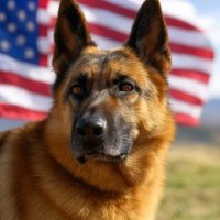 K9Math255 (@matheson6963) 's Twitter Profile